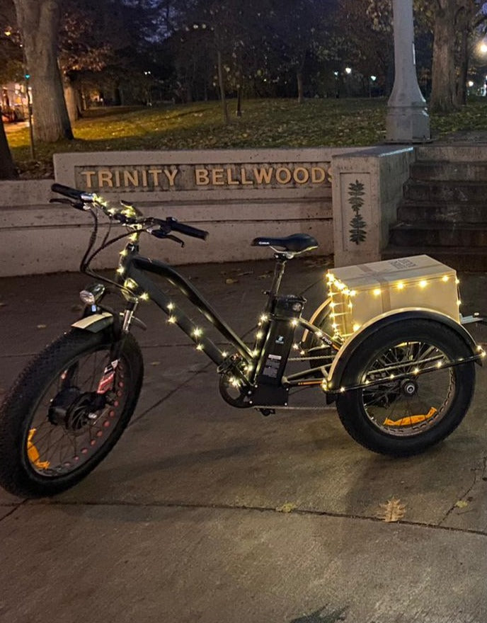 FerreroTrike 2